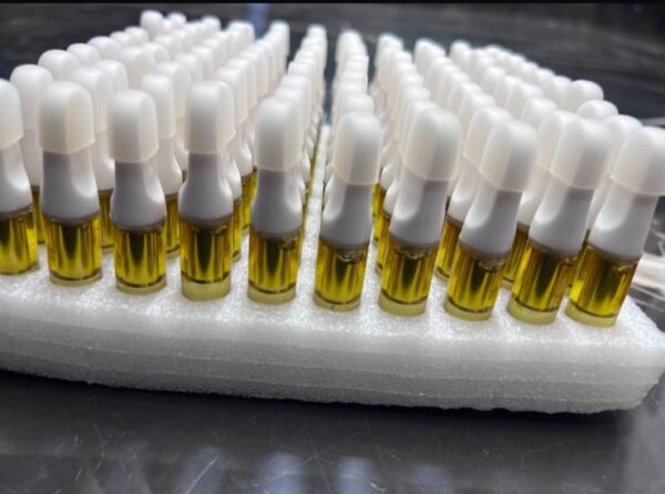 Capsula